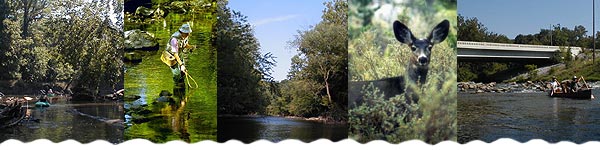 Fall Creek in central Indiana