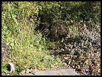 path to river at 71st Street bridge