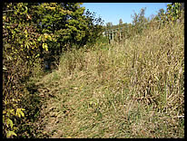 SW corner path to river at CR S 650 W bridge