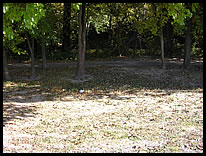 path to river at Fall Creek Corridor Park at 56th Street