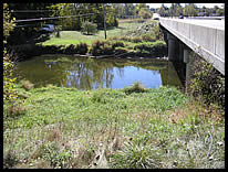 NE corner path to river at State Road 13