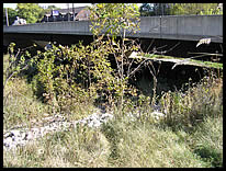 NW corner path to river at SR 38