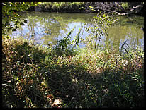 river access at Taylor Street