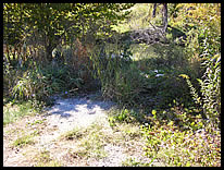 path to river at Taylor Street